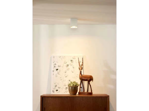 Plafondlicht BODI 1x - Wit Wit 2 Plafondlicht BODI 1x - Wit Wit - Afbeelding 2