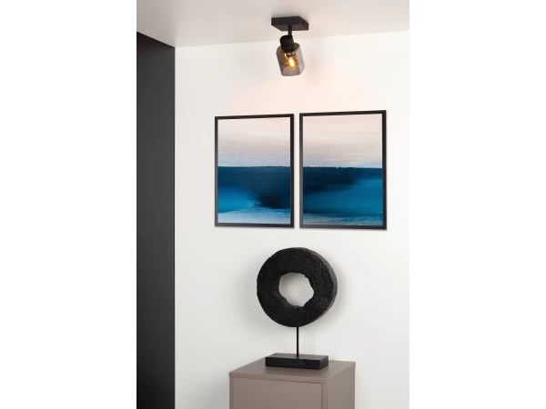 Plafondspot ALION 1x - Zwart/fumé Zwart 2 Plafondspot ALION 1x - Zwart/fumé Zwart - Afbeelding 2