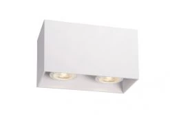 Plafondlicht BODI 2x - Wit Wit