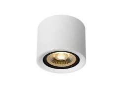 Ronde Plafondspot FEDLER - Wit Wit