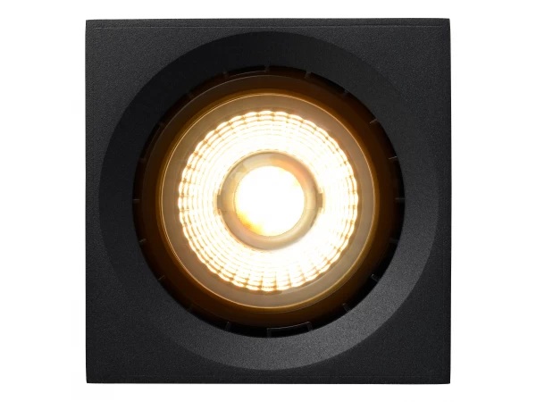 Ronde Plafondspot FEDLER - Zwart Zwart 5 Ronde Plafondspot FEDLER - Zwart Zwart - Afbeelding 5