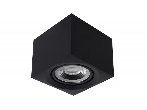 Ronde Plafondspot FEDLER - Zwart Zwart 6 Ronde Plafondspot FEDLER - Zwart Zwart - Afbeelding 6