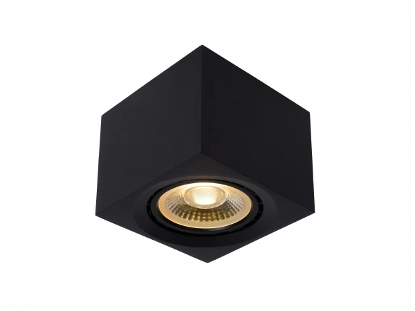 Ronde Plafondspot FEDLER - Zwart Zwart 8 Ronde Plafondspot FEDLER - Zwart Zwart - Afbeelding 8