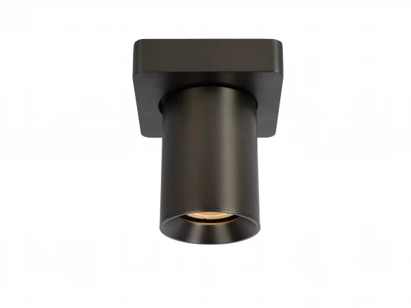 Plafondspot NIGEL 1x - Zwart Staal Rvs 3 Plafondspot NIGEL 1x - Zwart Staal Rvs - Afbeelding 3