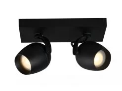Plafondspot 2x PRESTON - Zwart Zwart