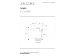 Plafondspot TAYLOR 1x - Wit Wit -Welkom bij Verlichting en Meubels Winkel! lucide taylor 40122