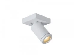 Plafondspot TAYLOR 1x - Wit Wit