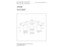 Plafondspot TAYLOR 4x - Zwart Zwart -Welkom bij Verlichting en Meubels Winkel! lucide taylor 40165 1